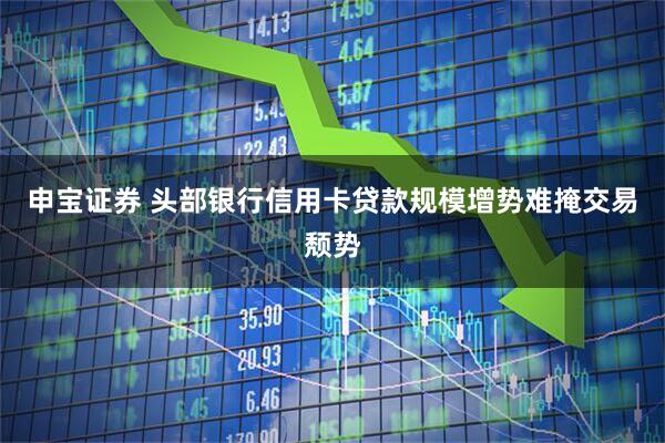 申宝证券 头部银行信用卡贷款规模增势难掩交易颓势