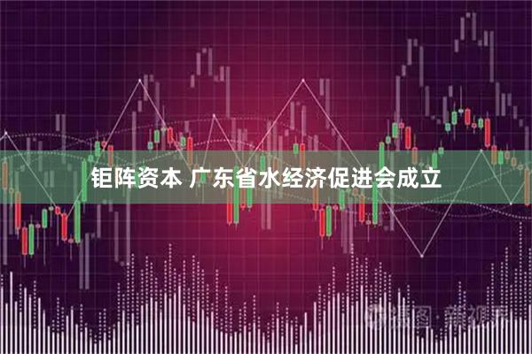 钜阵资本 广东省水经济促进会成立