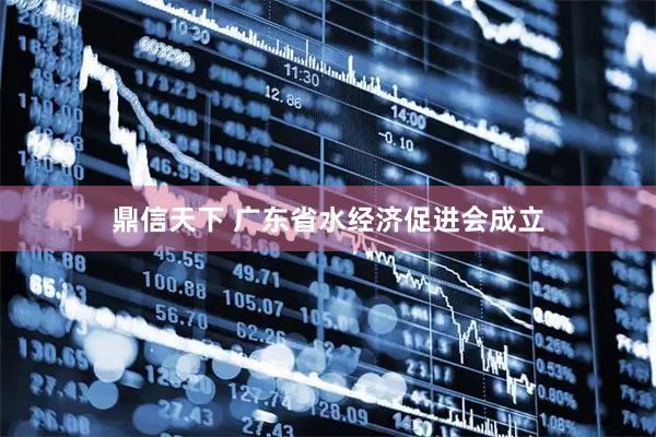 鼎信天下 广东省水经济促进会成立