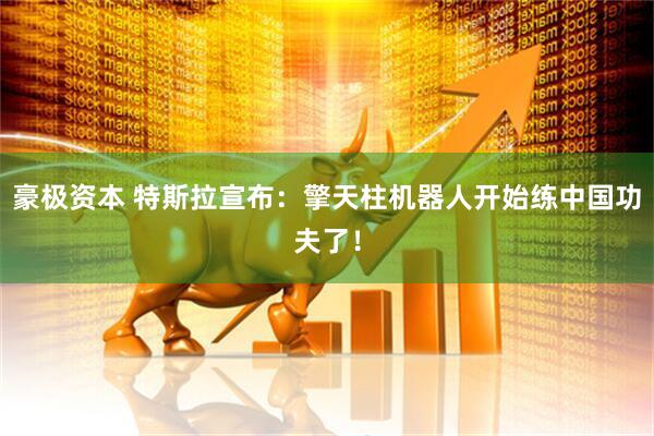 豪极资本 特斯拉宣布：擎天柱机器人开始练中国功夫了！